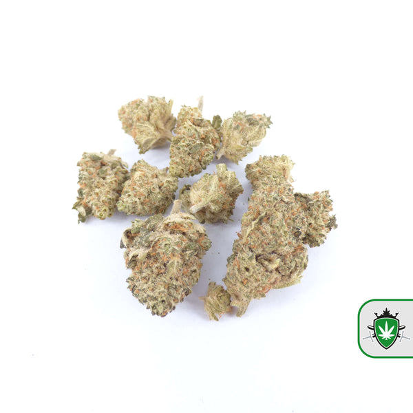 CBD cannabis bestellen in Leeuwarden – inclusief track & trace.