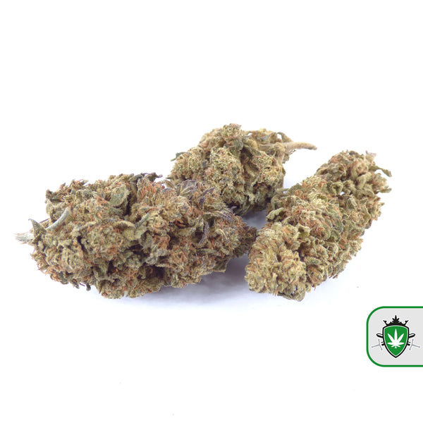 CBD Blue Berry bloemen – fruitige CBD wiet.