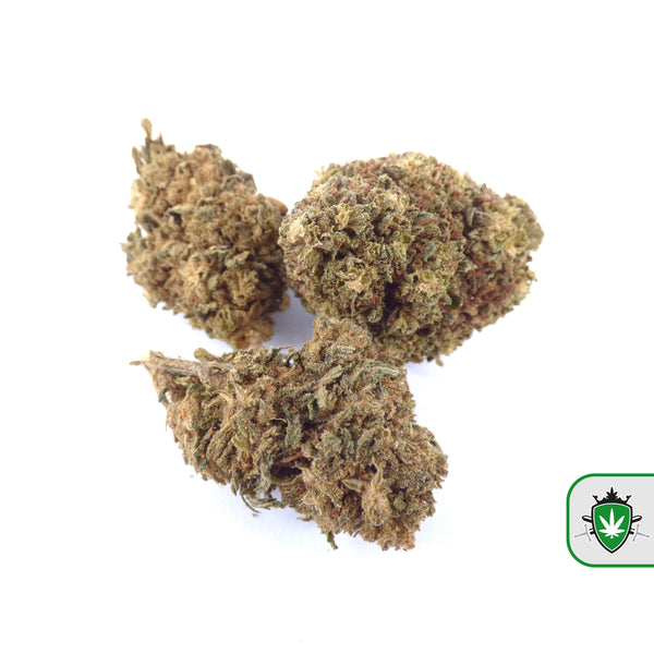 CBD Critical Mass hasj en wiet online kopen.