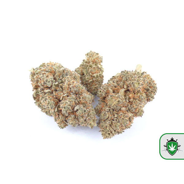 CBD bloemen bestellen in Alkmaar – direct leverbaar.