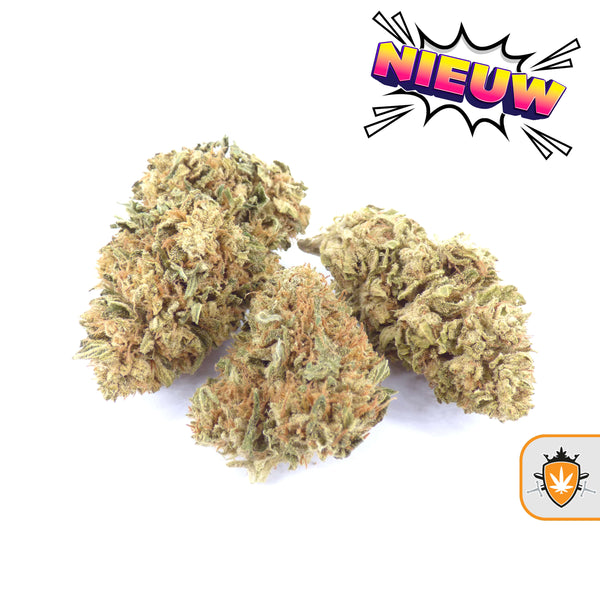 CBG Pearl wiet kopen bij de specialist – vanaf €0,99 per gram.