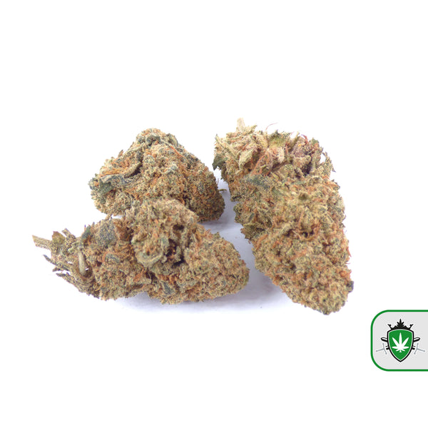 CBD joints bestellen in Zoetermeer – premium CBD cannabis.