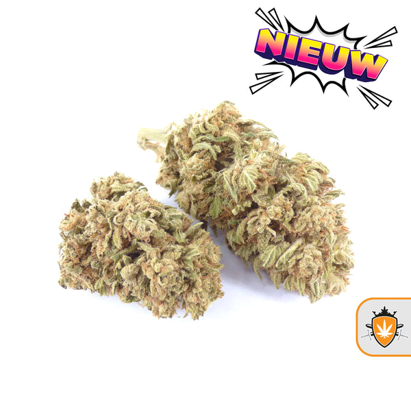 CBG cannabis kopen – voordelig en altijd legaal verkrijgbaar