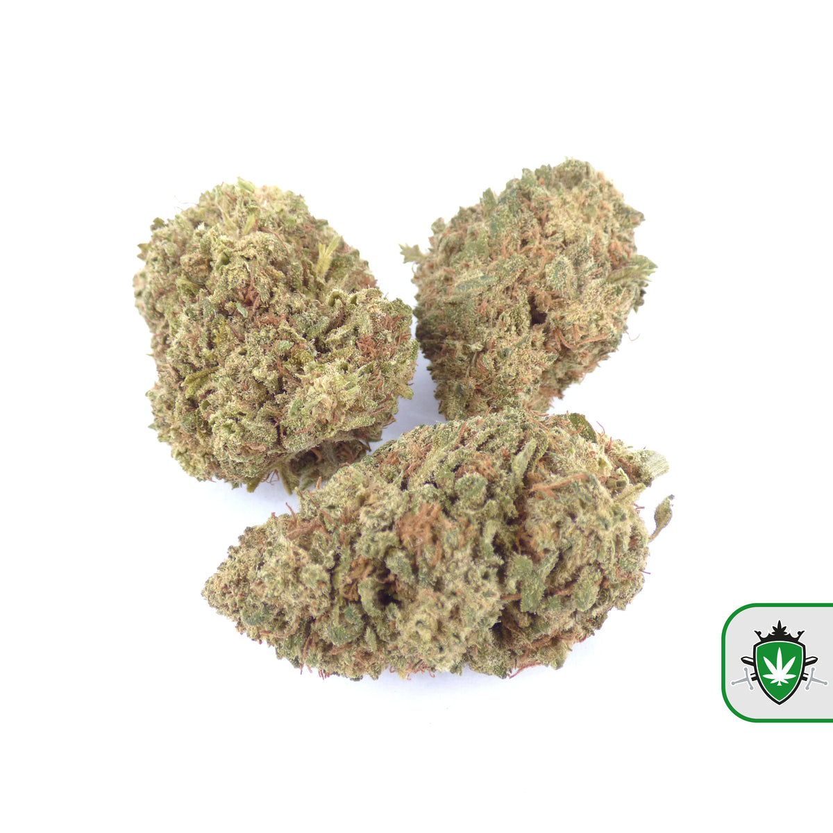Amnesia Haze CBD wiet kopen bij CBD Koning