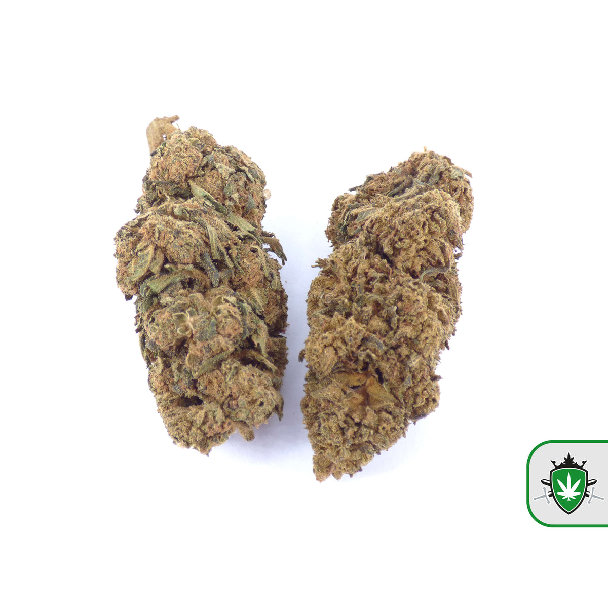 Amnesia Kush CBD wiet kopen bij CBD Koning