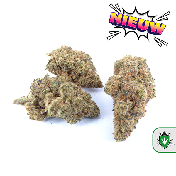 CBD wiet kopen en CBD hasj kopen bij dé specialist – 40+ soorten beschikbaar.