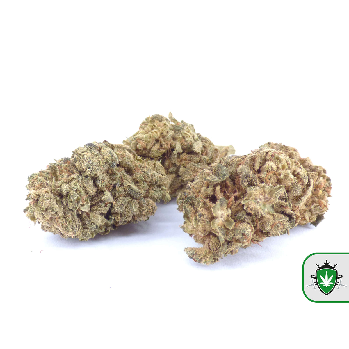 Biscotti CBD wiet kopen bij CBD Koning