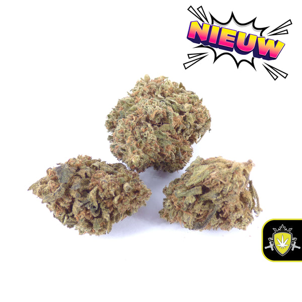 Hoogwaardige CBD wiet, CBD hasj en CBD joints – ontdek ons ruime assortiment CBD cannabis bloemen. Veilig en legaal CBD wiet kopen, CBD hasj kopen of CBD joints kopen. Internationaal ook eenvoudig te bestellen als buy CBD weed, buy CBD hash of buy CBD cannabis.