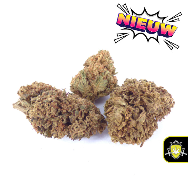 Legaal en voordelig CBD wiet kopen en CBD hasj kopen bij de marktleider in Nederland. Onze CBD cannabis, CBD joints en CBD bloemen bevatten minder dan 0,3% THC. Wereldwijd leverbaar: buy CBD weed, buy CBD hash en buy CBD cannabis.