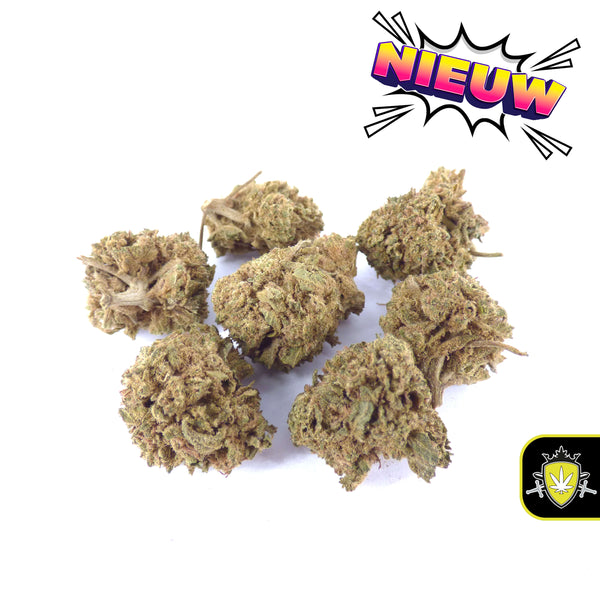 Online CBD cannabis kopen? Bekijk onze premium selectie CBD wiet, CBD hasj, CBD joints en CBD bloemen. Legaal in Nederland en Europa. Voor internationale klanten: buy CBD weed, buy CBD hash en buy CBD cannabis.