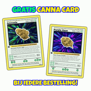CBD_Koning_CBD_Wiet_Kopen_CBD_Hasj_Kopen_CBD_Bloemen_Bestellen_CBD_Gruis_CBD_joints