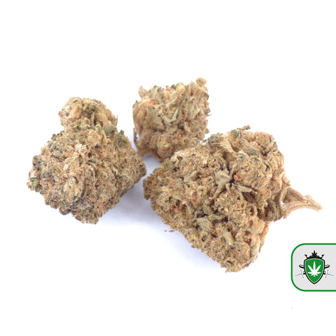 Dream Berry CBD wiet – fruitig en zoet berry aroma