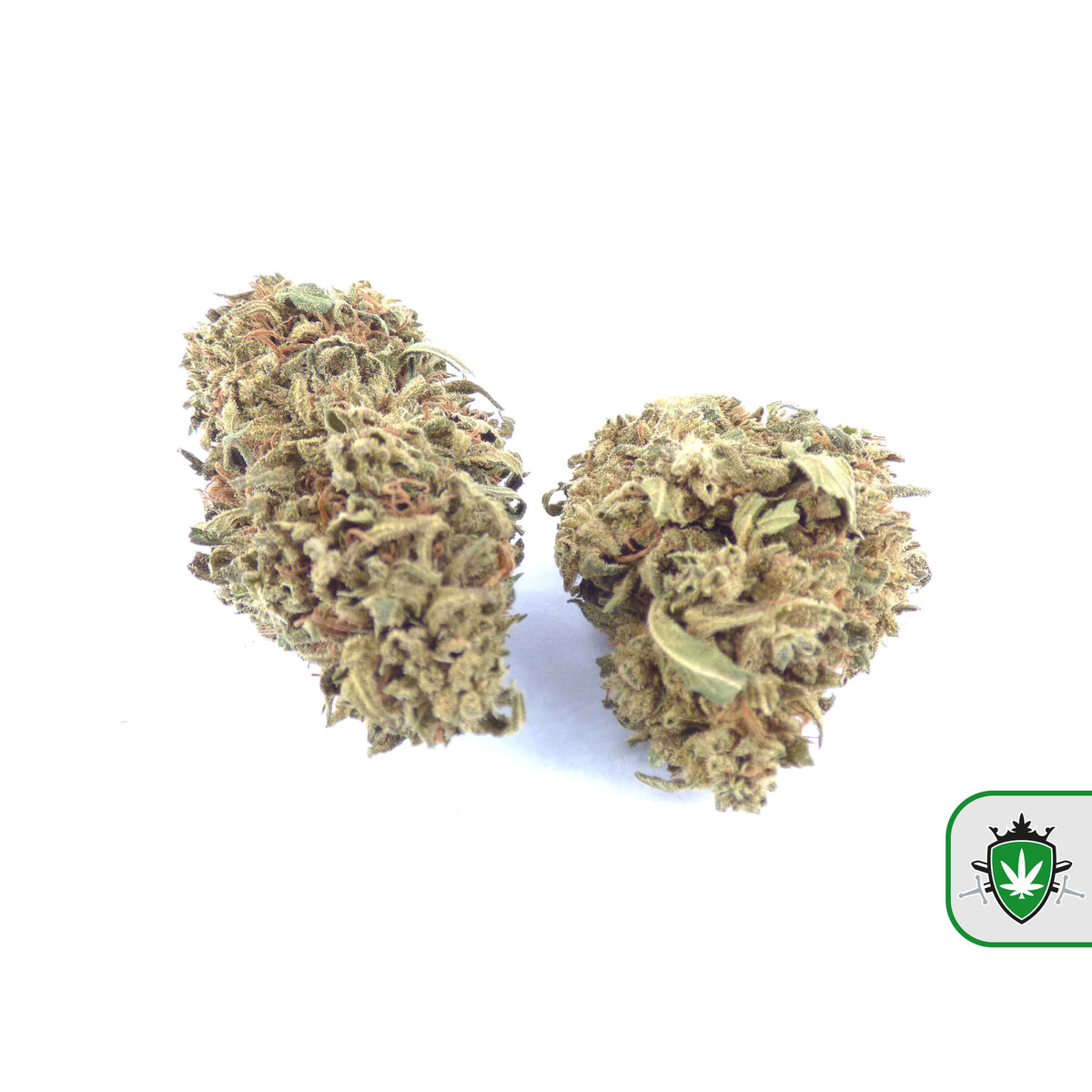 Gelato CBD wiet kopen bij CBD Koning