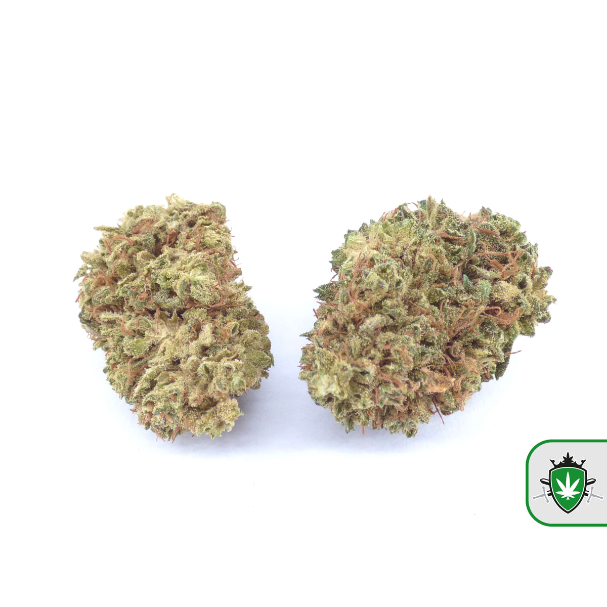 Gorilla Glue CBD wiet kopen bij CBD Koning