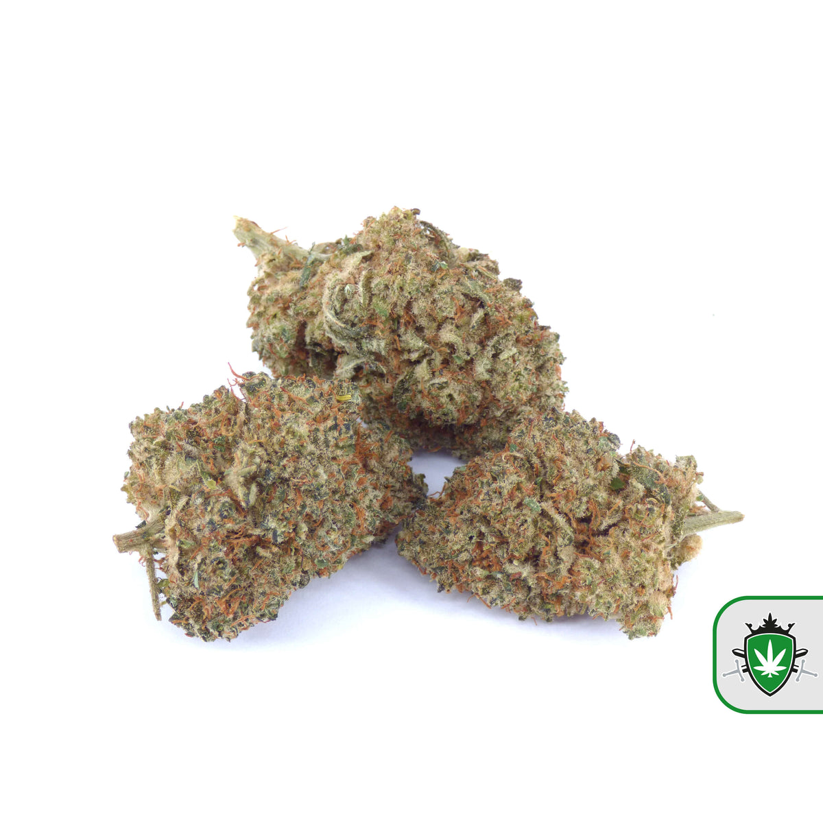 Jack Herer CBD wiet kopen bij CBD Koning