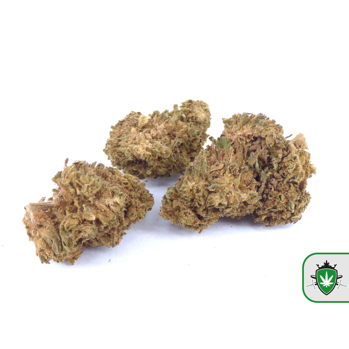 Master Kush CBD wiet kopen bij CBD Koning