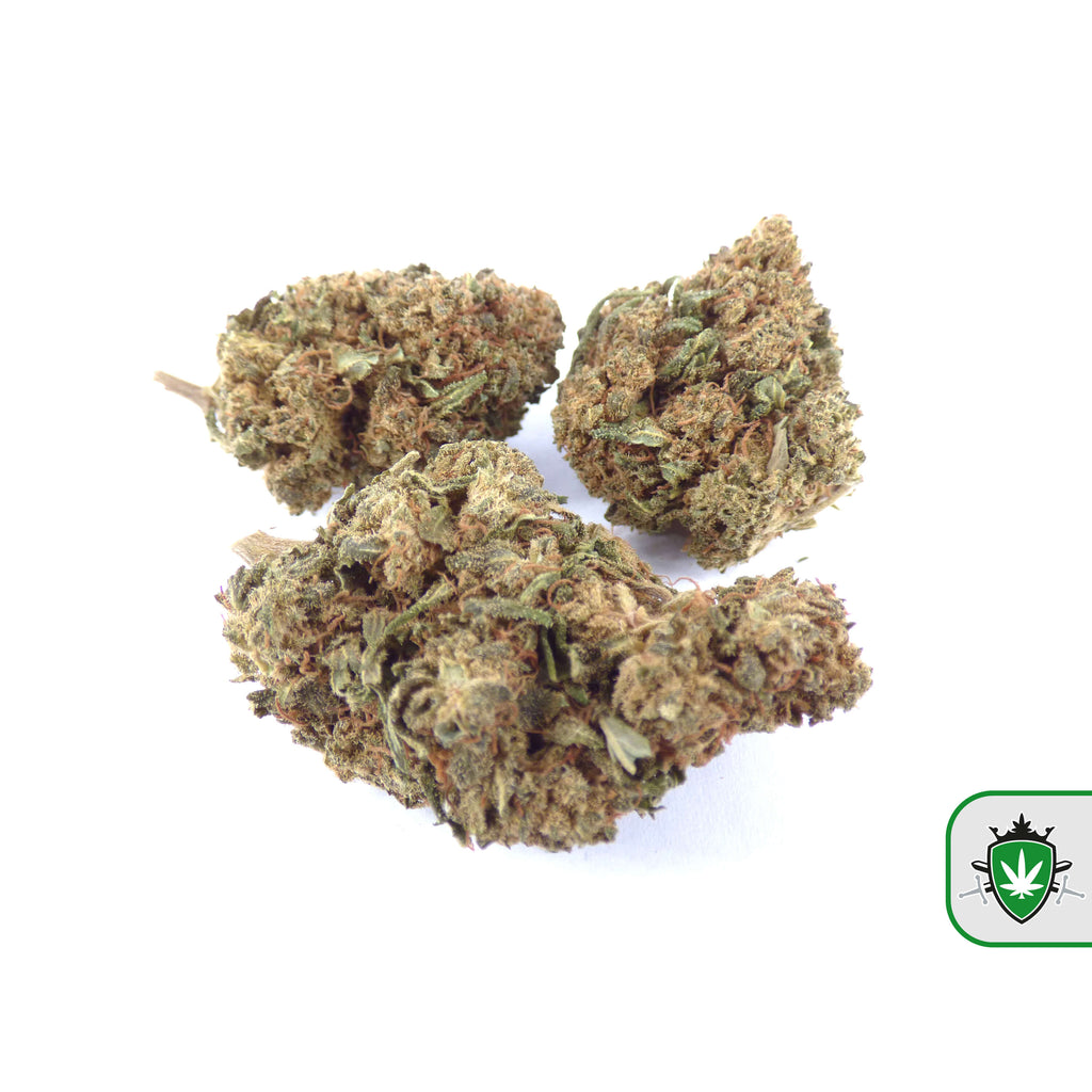 CBD Northern Lights – legale wiet met laag THC.