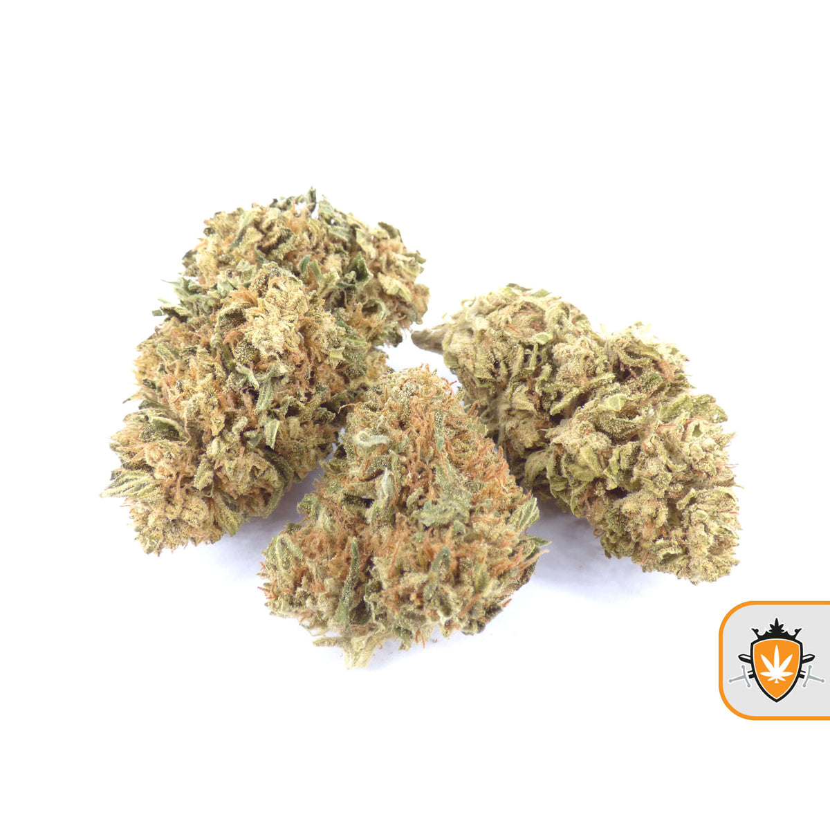 CBG White Pearl CBD wiet kopen bij CBD Koning
