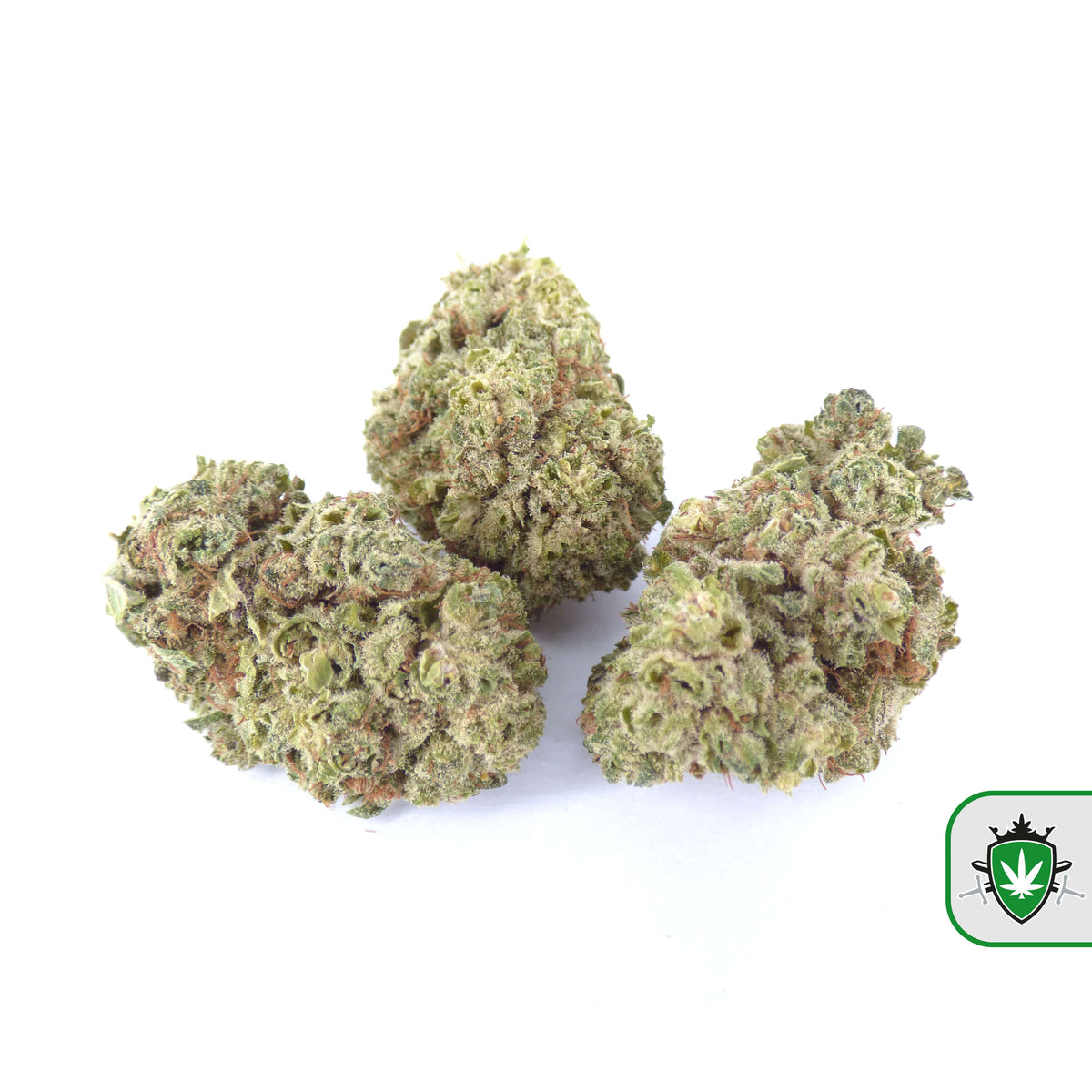 Plutonium CBD wiet kopen bij CBD Koning