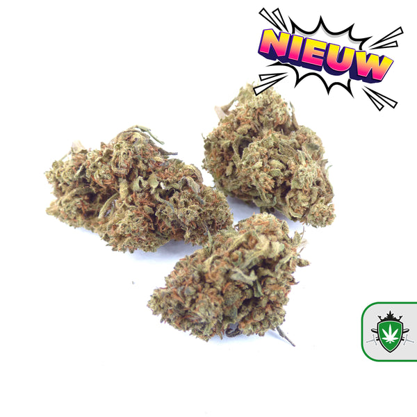 CBD wiet kopen en CBD hasj kopen bij dé specialist – 40+ soorten beschikbaar.
