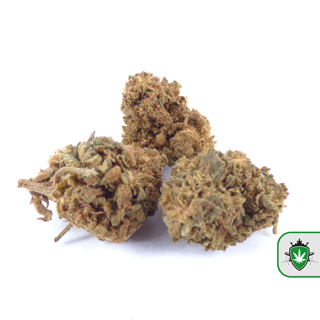 CBD Gelato kopen – topkwaliteit cannabis strain.