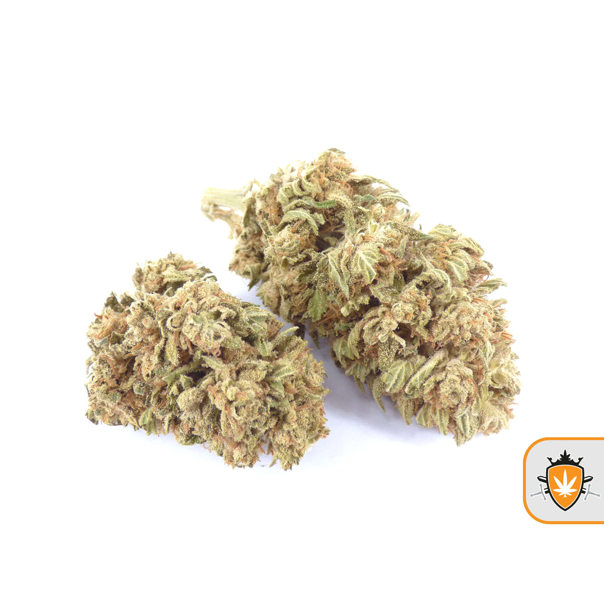 CBG Whale CBD wiet kopen bij CBD Koning